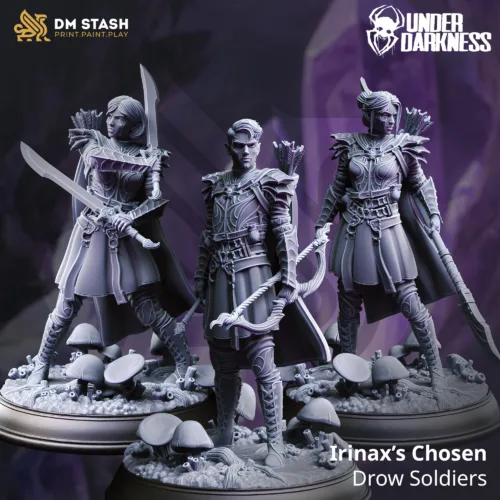 Les Élus d'Irinax - Soldats drows